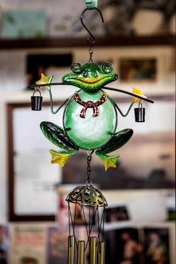 The Pickled Frog Hostel โฮบาร์ต ภายนอก รูปภาพ